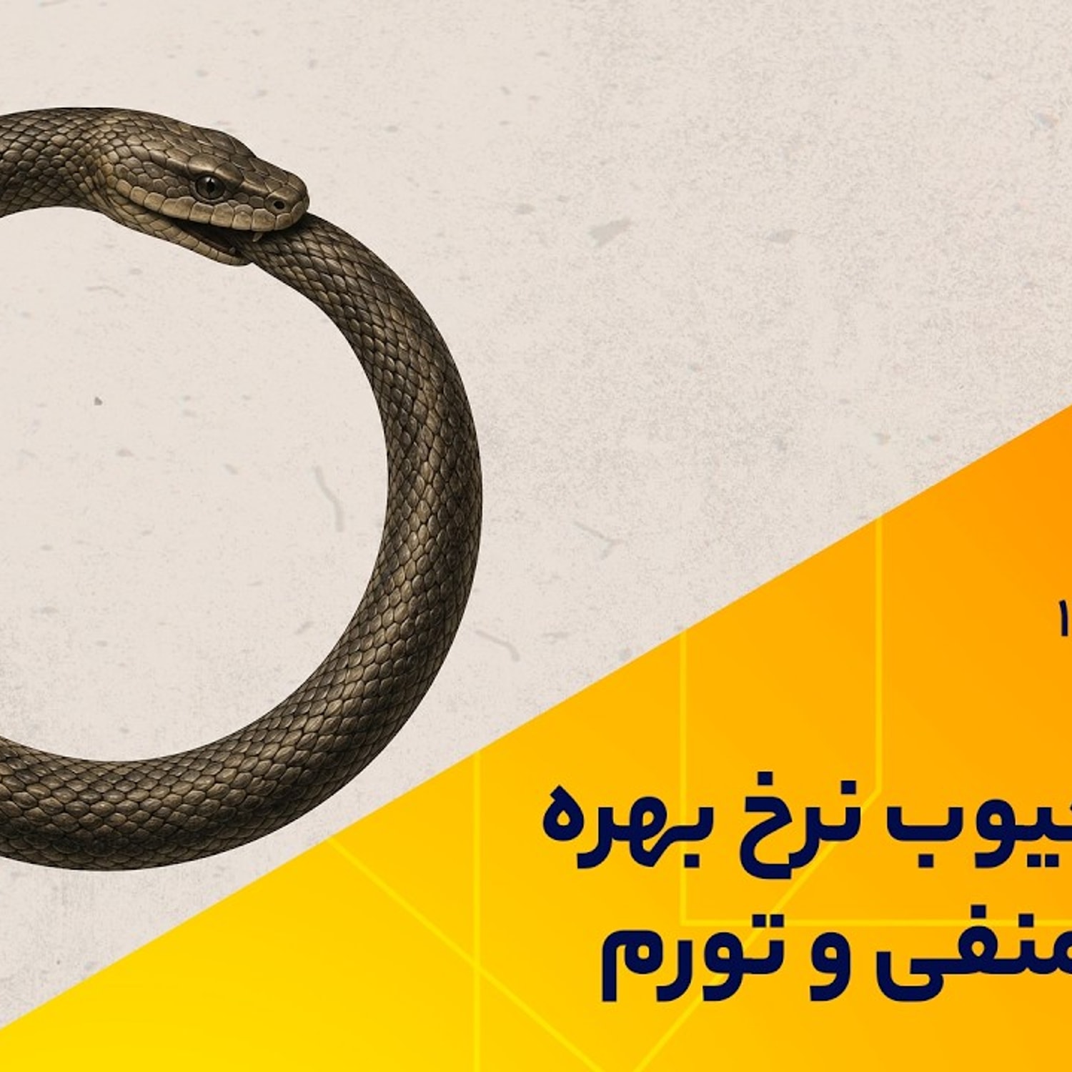 کاور چرخه معیوب نرخ بهره حقیقی منفی و تورم