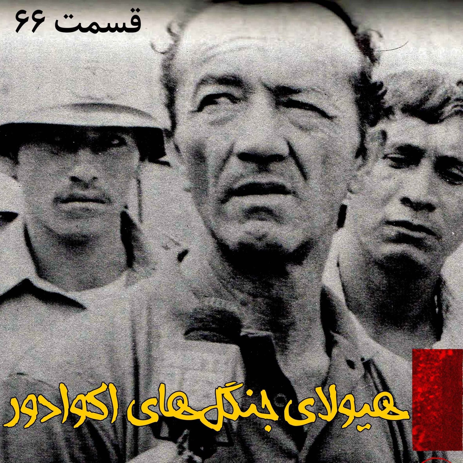 کاور هیولای جنگل های اکوادور