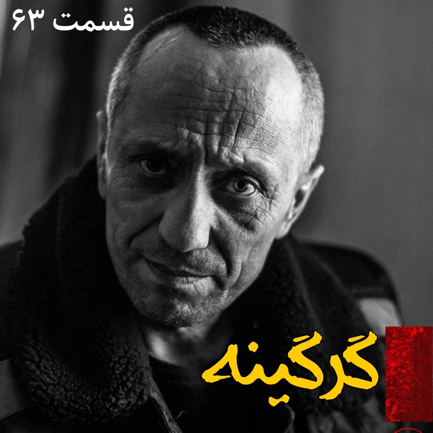 کاور گرگینه