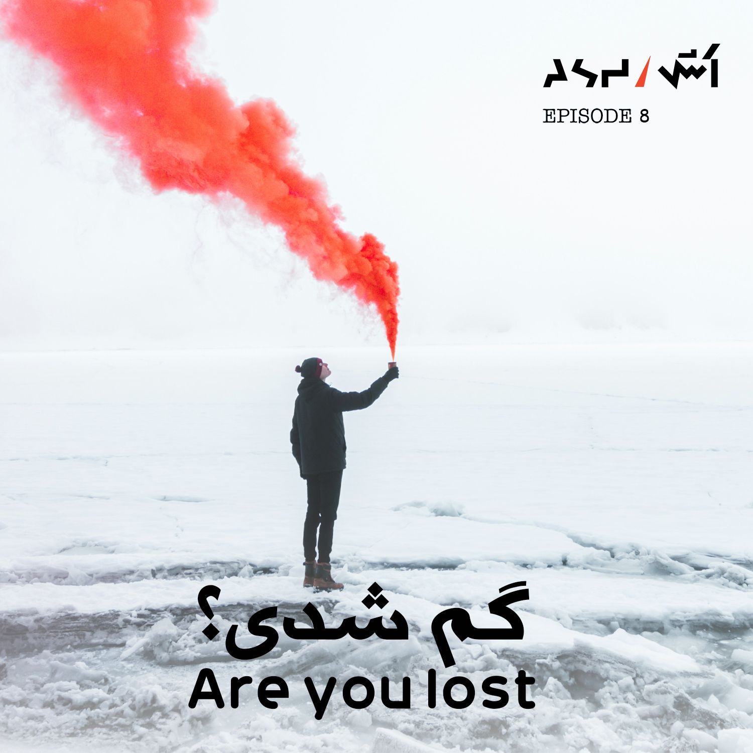 کاور پادکست اش E8 | پیدا کردن مسیر زندگی و درمان استرس با دکتر جولی اسمیت