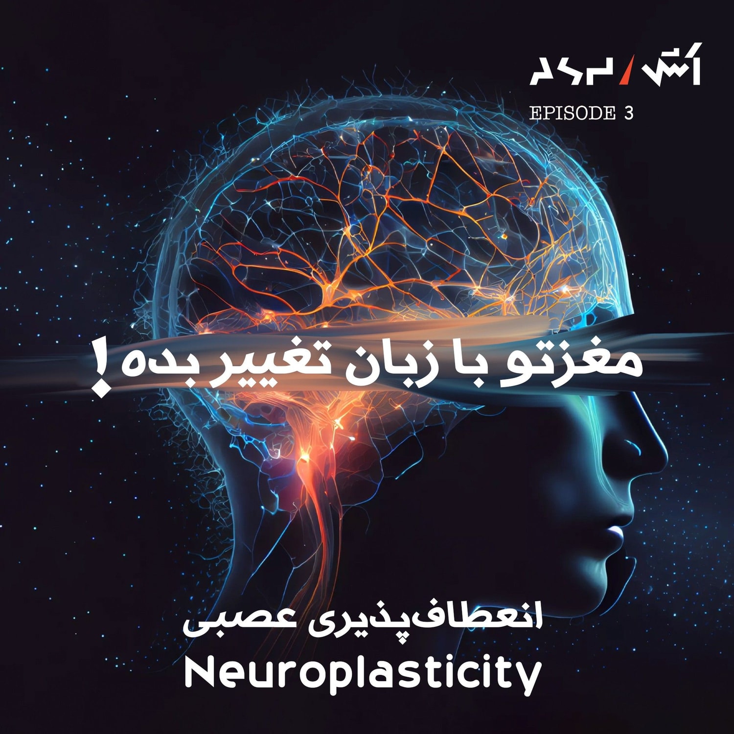 کاور E3 | dr tara swart با کمک مغز روابطمونو درست کنیم و عضلاتمونو بزرگ | حل مشکلات فکری