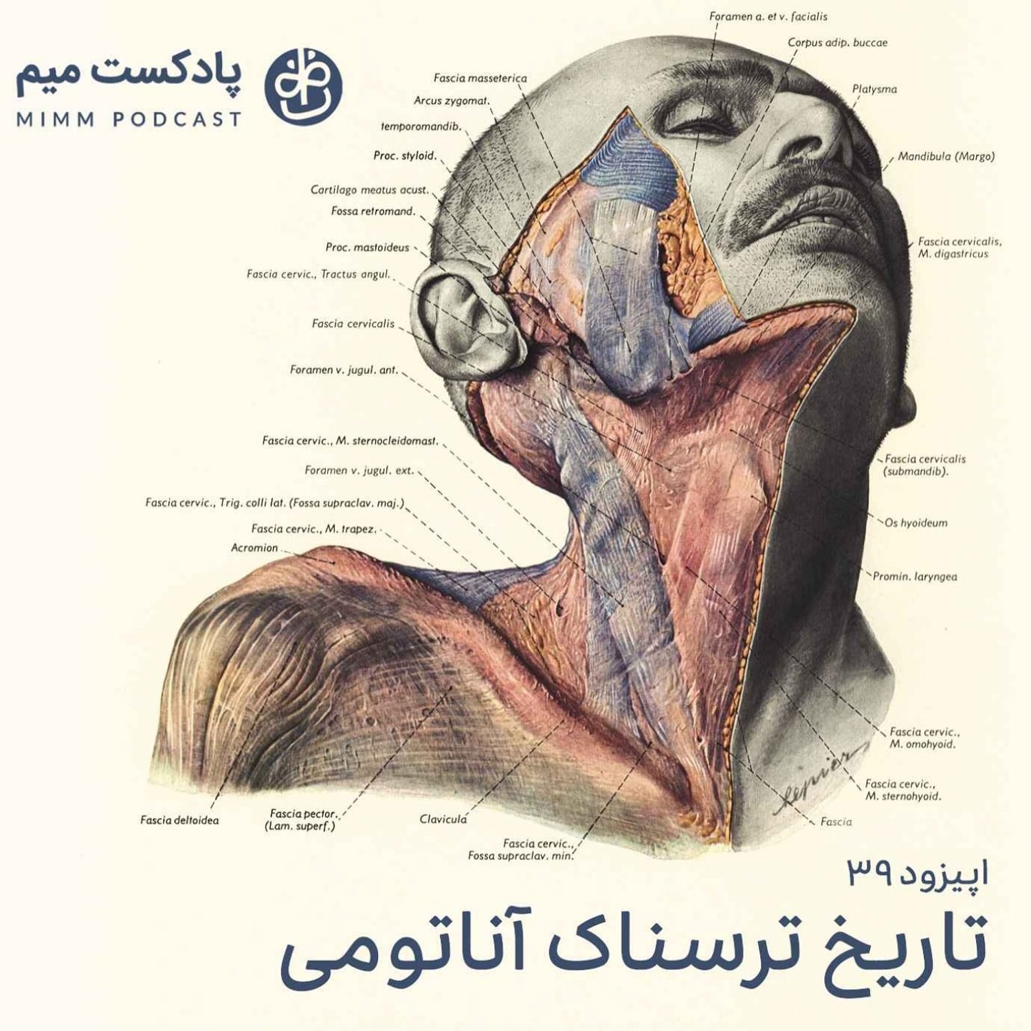 کاور اپیزود سی و نهم: تاریخ ترسناک آناتومی