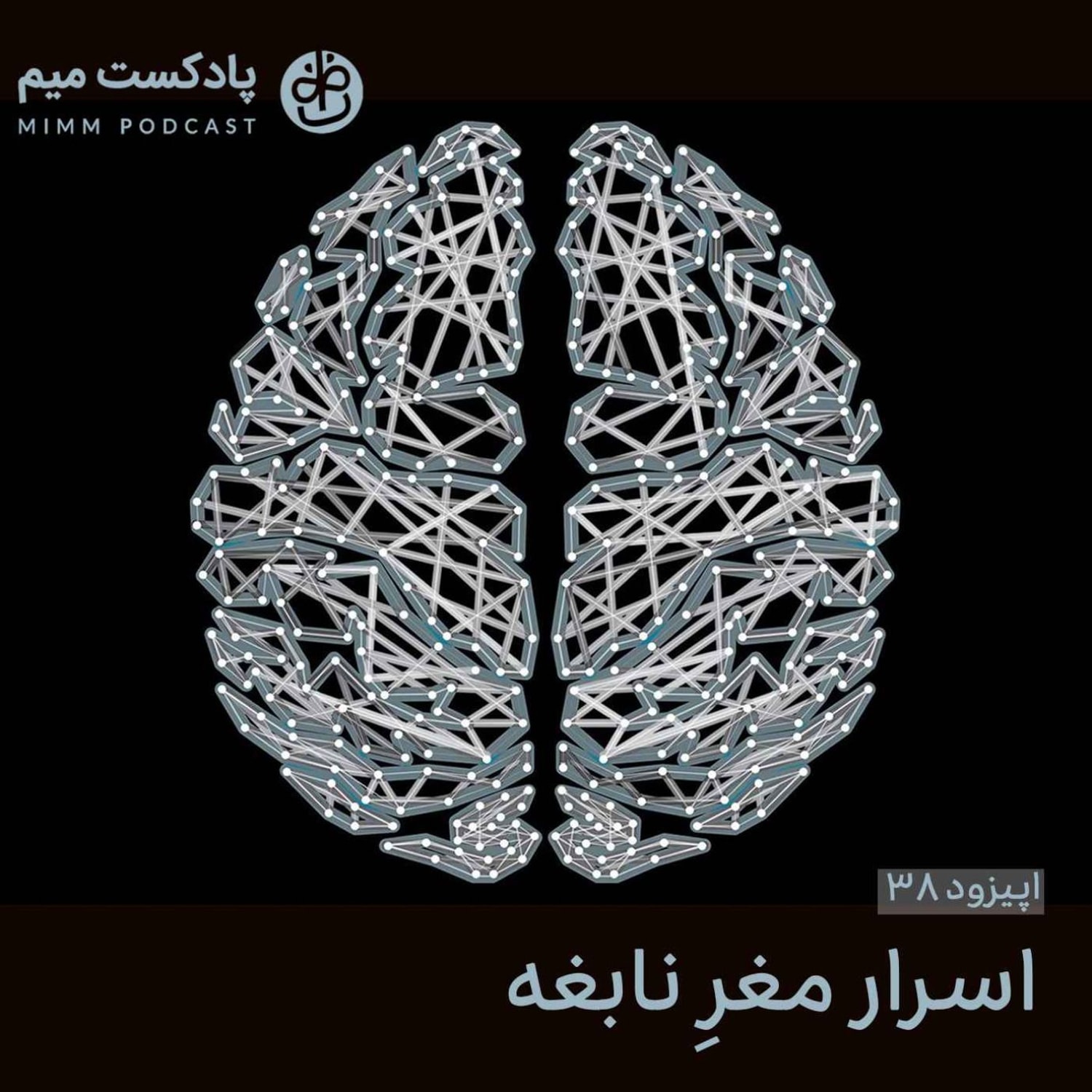 کاور اپیزود سی‌ و هشتم: اسرار مغز نابغه