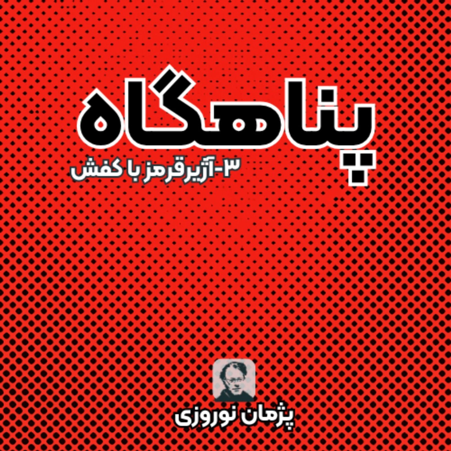 کاور آژیرقرمر با کفش