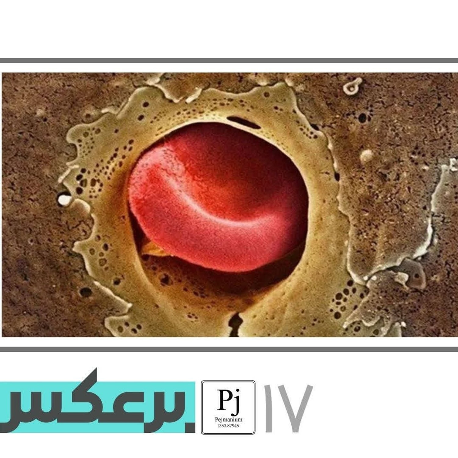 کاور O.P.17