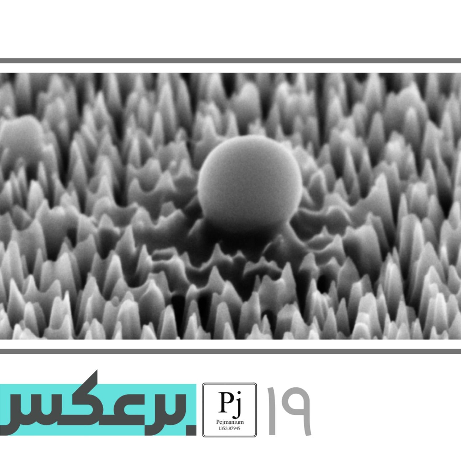 کاور O.P.19