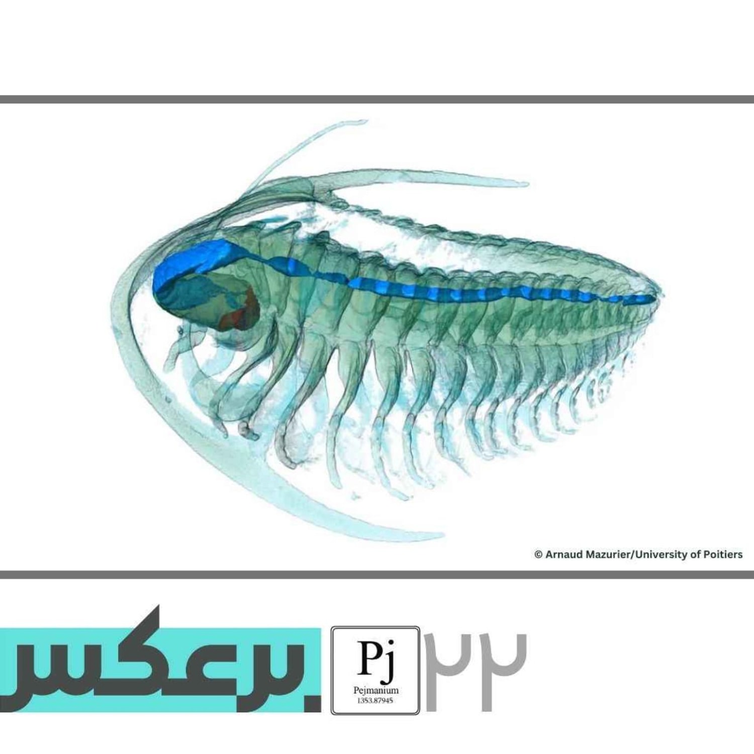 کاور O.P.22