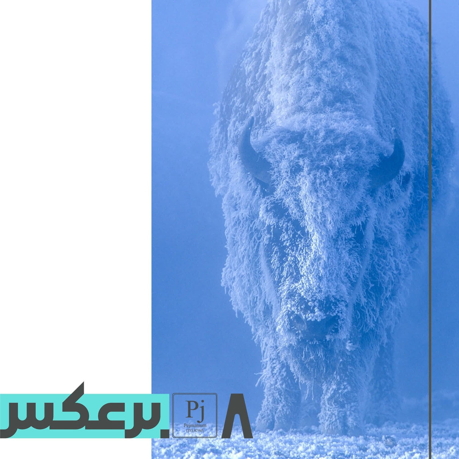 کاور O.P.8